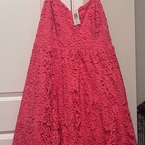 Torrid Honeysuckle Crochet Lace Dress